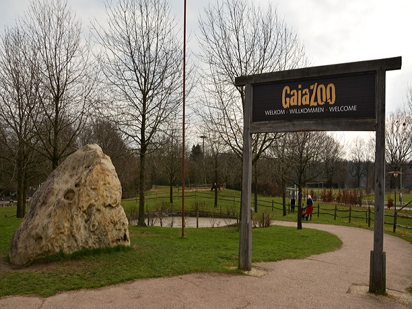 Image 2