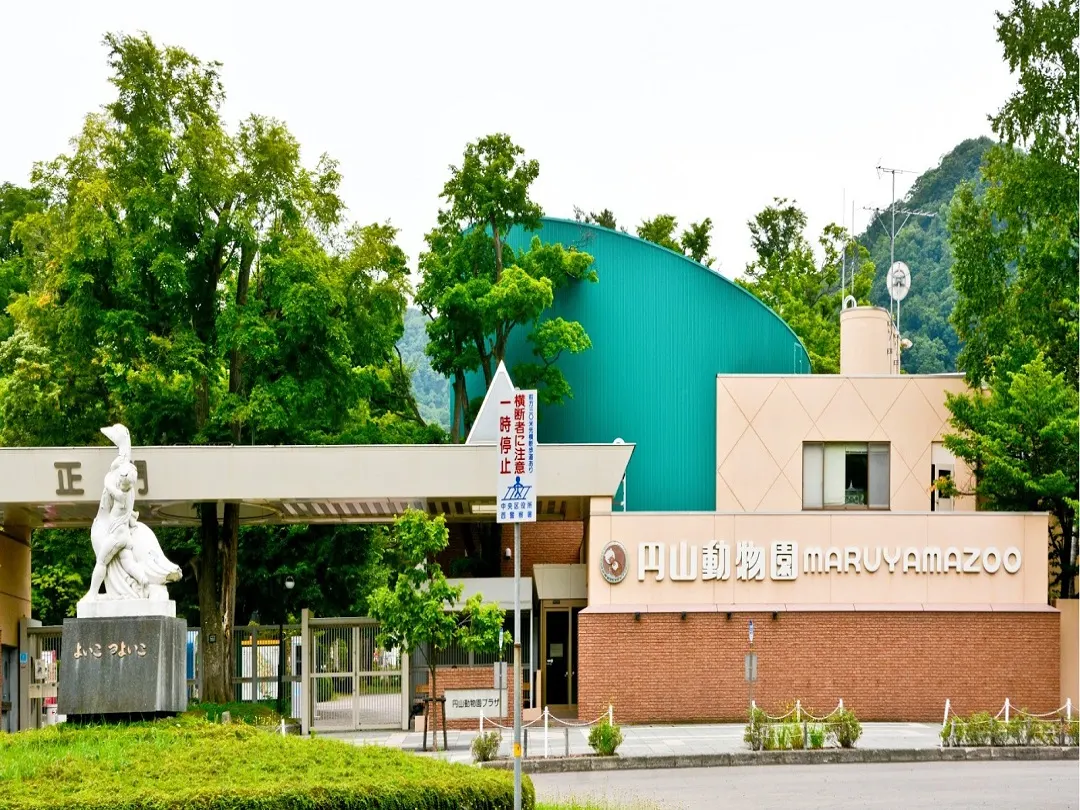 Polar bears at Sapporo City Maruyama Zoo
